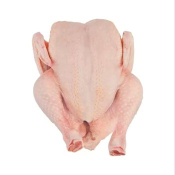 Frozen Chicken Breast/Wholesale Frozen Boneless Chicken Breast for Sale at Cheap Price from NUTRIDIET LDA Frozen Chicken Breast/Wholesale Frozen Boneless Chicken Breast for Sale at Cheap Price - NUTRIDIET LDA - United Kingdom