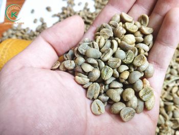robusta coffee S18 ,grade AA ,premium quality - AYAAT-ALAM TRADING COMPANY LTD - Vietnam