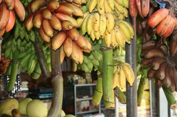 Fresh Banana from Hawethra Exports (Pvt) Ltd Fresh Banana – product photo, Fresh Banana Leaf products found from trusted suppliers, wholesalers, manufacturers & exporters Listing