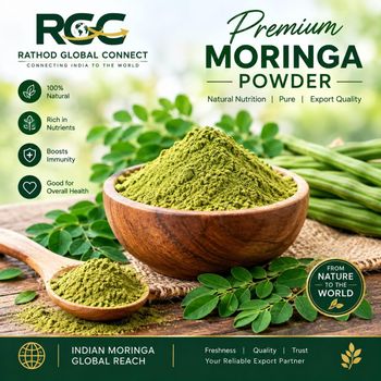 MORINGA POWDER - RATHOD GLOBAL CONNECT - India