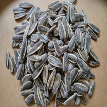 SUNFLOWER SEEDS from AGRO AFRIQUE COMPANY LIMITED SUNFLOWER SEEDS - AGRO AFRIQUE COMPANY LIMITED - Tanzania