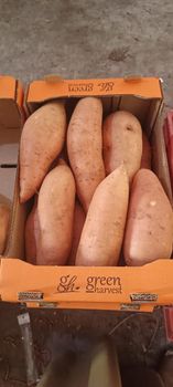 sweet potato – product photo, Sweet Potatoes products found from trusted suppliers, wholesalers, manufacturers & exporters Listing