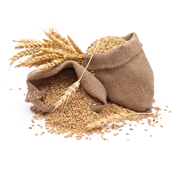 Wholesale Durum Wheat Grain for Cooking and Baking from NUTRIDIET LDA Wholesale Durum Wheat Grain for Cooking and Baking - NUTRIDIET LDA - United Kingdom