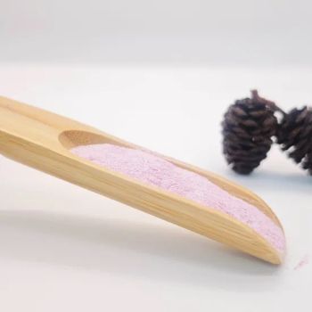 Elderberry Immune Boosting Powder with Vitamin C & Zinc - Glory (Wuxi) Nutrition Technology Co., Ltd - China