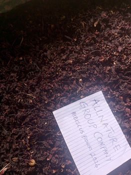 Dried Hibiscus flowers Sabdariffa - ALLNATURE ENTERPRISES - Nigeria