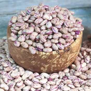 Wholesale British Light Speckled Kidney Beans Dried Raw 24 Months Shelf Life for Food Use Bulk Packaging Available - TRADECENTRIC LLC - United States