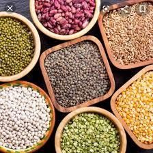 Green Lentils/ Red Lentils /yellow Lentils for Export - ELU TRADING GMBH - Germany