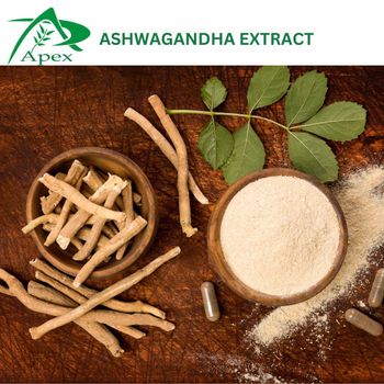 Ashwagandha Extract 5 By Gravimetry, Ashwagandha Extract 5, Ashwagandha Extract Gravimetry, Withania Somnifera 5 By Gravimetry , Withania Somnifera Gravimetry, Ashwagandha Extract , Ashwagandha , Ashwagandha Extract Supplier From India - APEX INTERNATIONAL - India