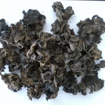 Chinese High Quality Black Edible Tree Fungus Small Real Healthy New Dried Natural Wood Ear Mushrooms - Qingdao Runledo Import And Export Co., Ltd. - China