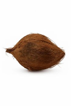 Coconut Semi Husked – product photo, Fresh Semi-Husked Coconut products found from trusted suppliers, wholesalers, manufacturers & exporters Listing