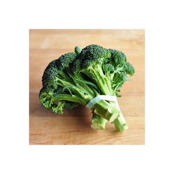 Fresh broccoli available in bulk for global produce distributors and importers - Mundus Exports Pty Ltd - South Africa