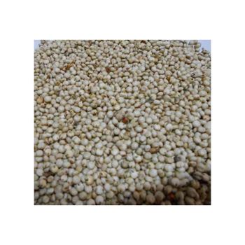 Clean and natural sorghum grains packed for bulk export from HIGHPROFILE AGRICULTURE SERVICES LIMITED Clean and natural sorghum grains packed for bulk export - HIGHPROFILE AGRICULTURE SERVICES LIMITED - Tanzania