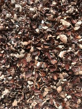 CASHEW HUSK FOR ANIMAL FEED, BIOENERGY AND FUEL, NATURAL DYES AND TANNINS, COMPOST AND ORGANIC FERTILIZER - QSS IMPORT EXPORT CO.,LTD - Vietnam