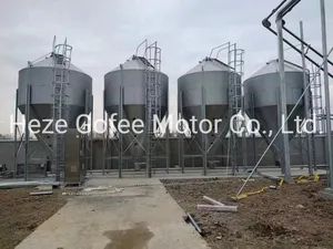 Food Silo Tower Poultry Broiler Layer House Equipment Livestock Pig Farm Equipment for Galvanized Sheets Feeding Tower - Shandong Gofee Husbandry Technology Co., Ltd. - China