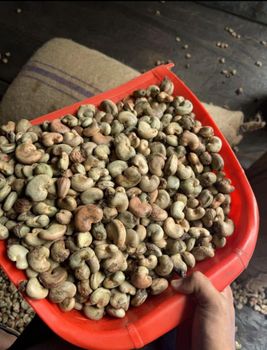 Premium Tanzanian Cashew Nuts – product photo, Raw Cashew Nuts products found from trusted suppliers, wholesalers, manufacturers & exporters Listing