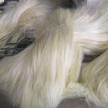 Hot Discount Sale Whole Sale Sisal Coconut Fibre Natural Staple Raw Pattern Spinning Woven Techniques Filling Eco-Friendly from Carla Pisselli Commercio Hot Discount Sale Whole Sale Sisal Coconut Fibre Natural Staple Raw Pattern Spinning Woven Techniques Filling Eco-Friendly - Carla Pisselli Commercio - Brazil