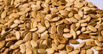 Watermelon Seeds - Aloloa Elkhadra for import and export - Sudan