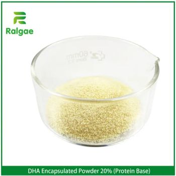 20% DHA Content Encapsulated DHA Oil Power Milk Powder Nutrition Additive - Qingdao Algaenutra Biotech Co., Ltd. - China