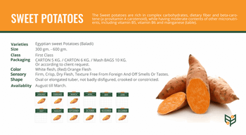 Egyptian Fresh Sweet Potatoes (Baladi) Quality A Origin Egypt Grade Class A Class First Class Place of Origin Egypt Availability August Till March - Green Agro Exports - Egypt