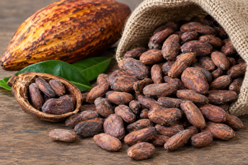cocoa beans, cocoa powder, cocoa butter - Weconnect Global Investment Inc - Canada