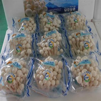 Professional and High-quality Canned Mushroom Plant +255787979234 - AL JABLI TRADING COMPANY LIMITED - Tanzania