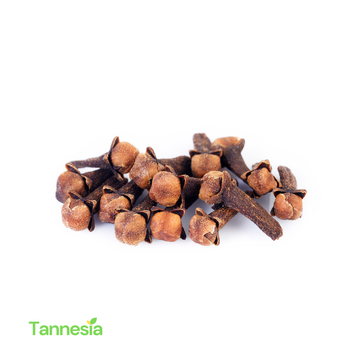 Indonesian Premium Cloves (Sulawesi Origin) - PT. Tannesia Riziq Jaya - Indonesia