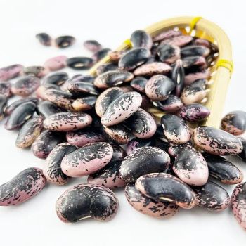 New Crop Dried Large Black Speckled Kidney Bean Hot Selling Grade A Organic Yes Packaging Custom Brand Name Custom Form Chopped, Whole - VERTEX TRADING LIMITED - United Kingdom