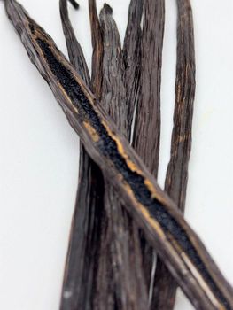 Vanilla Grade A – product photo, Grade A Lentils products found from trusted suppliers, wholesalers, manufacturers & exporters Listing