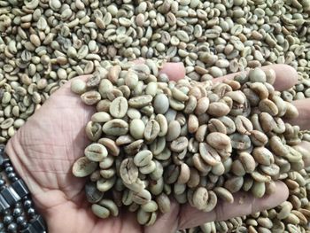 Coffee beans Arabica and Robusta from Kenya  Origin Kenya Bean Type Arabica And Robusta Quality Assurance Handpicked For - ABU SAÏD & SONS INTERNATIONAL BUSINESS TRADING AND NEGOCE  - Chad
