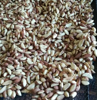BRAZIL NUT Moisture Content 3% Quality Grade First Grade Packaging Type Vacuum Sealed Bag And Box Of 20 - ANDINA FOODS EXPORT EIRL - Peru