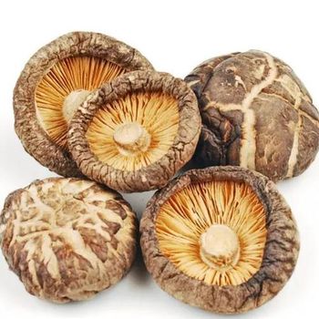 High Quality Dried Shiitake Mushroom Best Seller Special For Soup Dried Mini Shiitake Mushroom - Guizhou Qianheng Import And Export Trading Co., Ltd. - China