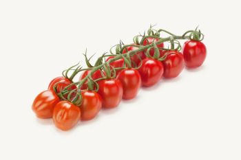 PREMIUM A GRADE EXPORT-READY FRESH TOMATOES FOR SALE - Bulk Supply Guaranteed Always - AGROSUL-AGROAVICOLA-INDUSTRIAL-S-A - Brazil