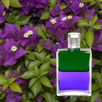 Customize Any Color Combination of The Essential Oils. The Body Balance and Purification Massage Oil Can Be Labeled with Your Own Brand. - SHANGHAI TWOCHEM CO., LTD - China