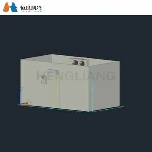Hl Best Price Industrial Cold Room Commercial Cold Storage Freezers Room for Ice Block - Xiamen Hengliang Refrigeration Technology Co., Ltd. - China