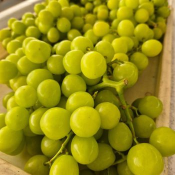 Fresh Table Grapes Export Quality - NINE FRUITS EXPORTS (PTY) LTD - South Africa