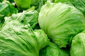 Iranian Vegetables Origin Iran Pesticide Use None Texture Natural And Fresh Color Varied Based On Vegetable Type Growth Method Sustainable Farming Practices - PATORA :: PARSIAN TEJARAT JAHAN GOSTAR HOORA - Iran