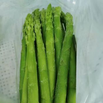 Wholesale IQF Diced Frozen Okra Slices Okra - Jinan Gogo International Trade Co., Ltd. - China