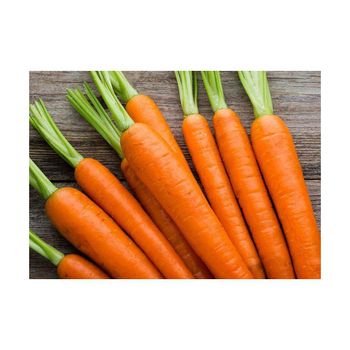 Premium quality carrots freshly harvested and packed for export markets - afrivett@gmail.com - South Africa