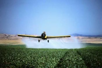 Silicone Adjuvant Penetrating Spreading Wetting Agent for Agrochemicals Silway 246D - Hangzhou Silway New Material Technology Co., Ltd. - China