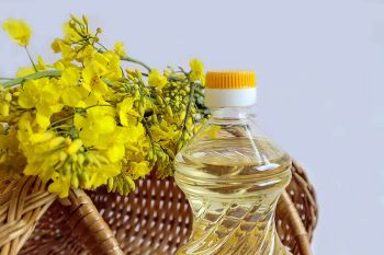 Rapeseed oil (vegetable oil), for frying, baking and cooking from Smart Agri GmbH Rapeseed oil (vegetable oil), for frying, baking and cooking - Smart Agri GmbH - Germany
