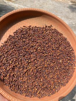 Cloves - PT bumi rempah terpadu - Indonesia