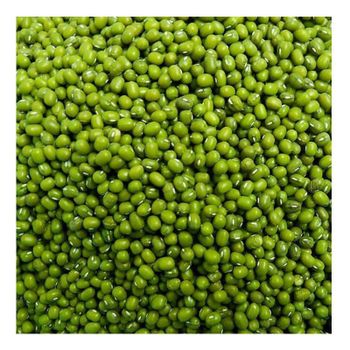 Organic Bangladesh Natural Common Cultivation Best Trade Certified Products Monggo Green Mung Beans Exportable Food Grade Munggo – product photo, Green Beans Coffee products found from trusted suppliers, wholesalers, manufacturers & exporters Listing