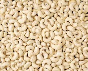 Bulk Raw Cashew Kernel Whole Grades for Importers and Distributors - AGRONOVA - United States