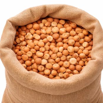 Betel Nut 90/95 - PT Sumber Niaga Alam Sejahtera - Indonesia