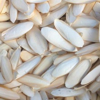 Top Quality Dried Cuttlefish Bone Powder, 100% Sun Dried Cuttlefish Bones For Sale - CPW TRADE LTD - United Kingdom