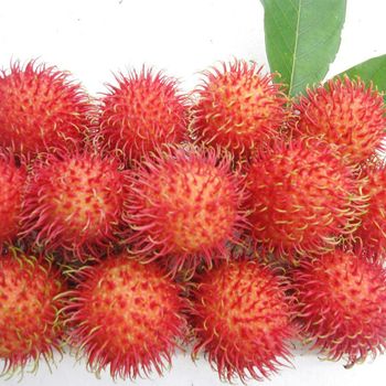 Frozen Rambutan Whole Origin Vietnam From An Van Thinh Food (AVTfood) / Rambutan Congelada Entera / Rambutan Congelado Entero - AN VAN THINH FOOD LIMITED COMPANY - Vietnam