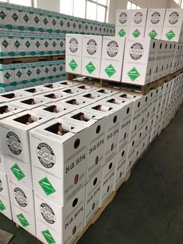 Refrigerant Gas (R134A, R404A,R32,R22,R410 for sale at greate discount - SKY TRADING LLC - Georgia