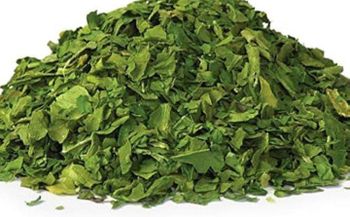 Lagro Dehydrated Ugu (Pumpkin Leaves) Flavor Rich Organic Yes Shelf Life Long Origin National Color Rich Green Form Chopped, Dehydrated - Lagro Global Investment Limited - Nigeria
