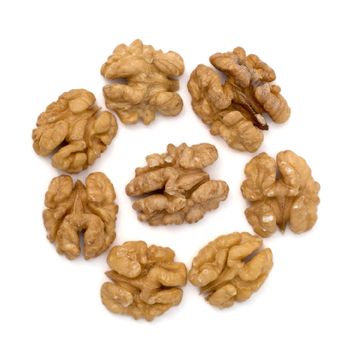 Wholesale First Grade Non-GMO Light Walnut Kernels from Uzbekistan Nuts Natural Walnut Halves Kernels - GREEN DESERT Limited Liability Company - Uzbekistan