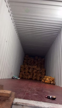 Semi Husked Coconut - PT Sumber Mulia Agro - Indonesia